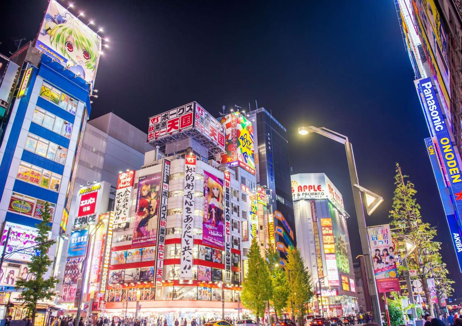 Akihabara district in Tokyo